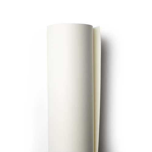 Winsor & Newton Carta Disegno - Rotolo Grana Media 220G 150x1000cm