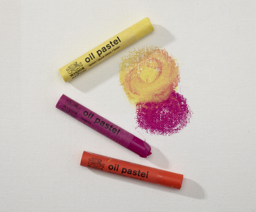 Winsor & Newton Pastelli ad Olio - Set 15 Pastelli