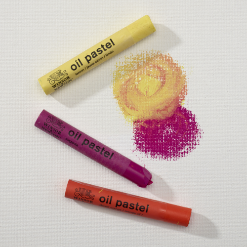 Winsor & Newton Pastelli ad Olio - Set 15 Pastelli