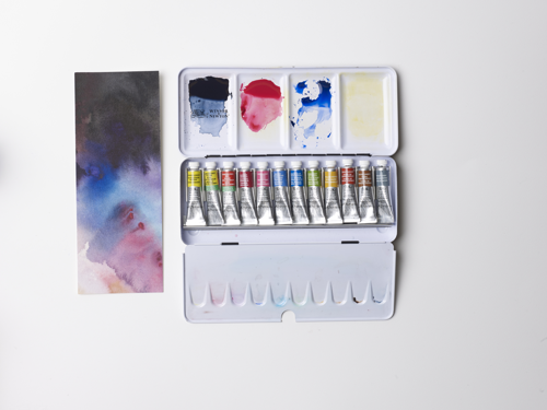 Winsor & Newton Professional Water Colour Travel Tin - 12 Tubi Da 5ml
