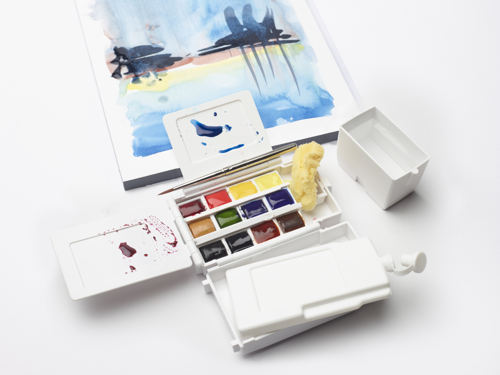 Winsor & Newton Professional Water Colour Field Set - Set Per Esterno - 14 Mezzi Godet