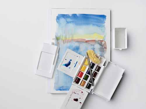 Winsor & Newton Professional Water Colour Field Set - Set Per Esterno - 14 Mezzi Godet