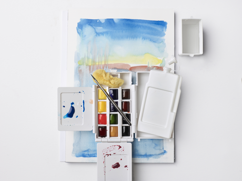 Winsor & Newton Professional Water Colour Field Set - Set Per Esterno - 14 Mezzi Godet