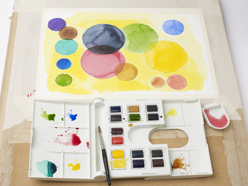 Winsor & Newton Professional Water Colour Scatola plastoica compartta