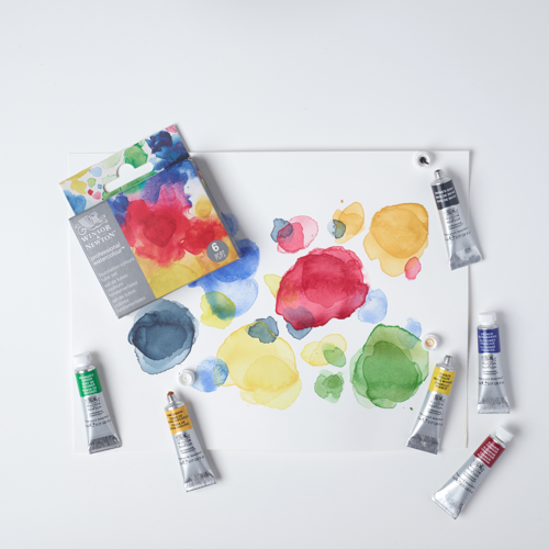 Winsor & Newton Professional Watercolour Set Tubi 6x5ml Fondamentali