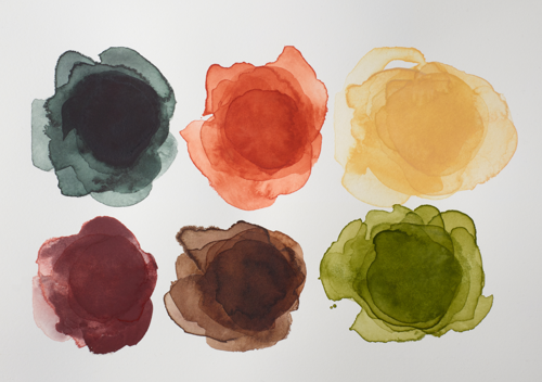 Winsor & Newton Professional Watercolour Set Tubi 6x5ml Toni Della Terra