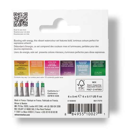 Winsor & Newton Professional Watercolour Set 6x5ml Colori Vibranti