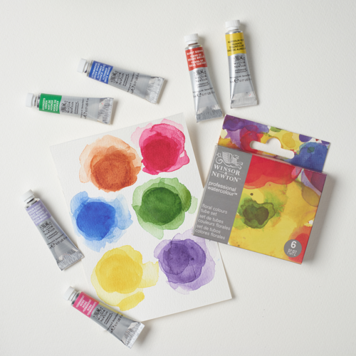 Winsor & Newton Professional Watercolour Set 6x5ml Floreale