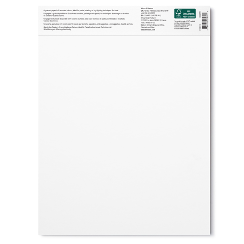 Winsor & Newton Pastello Blocco 160G - 22,9 x 30,5 cm - 24 Fogli - 6 Colori Grigi