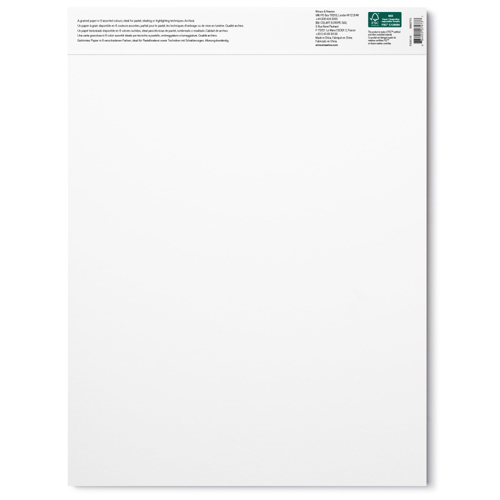 Winsor & Newton Pastello Blocco 160G - 30,5 x 40,6 cm - 24 Fogli - 6 Colori Terre