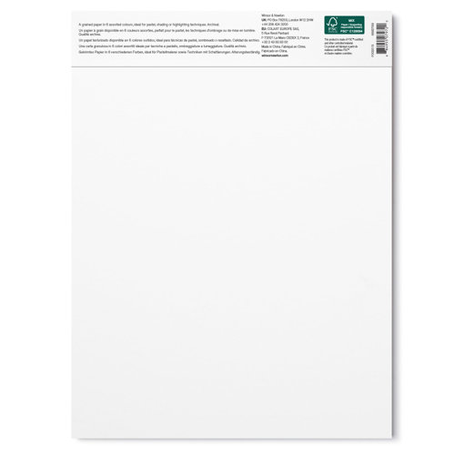 Winsor & Newton Pastello Blocco 160G - 22,9 x 30,5 cm - 24 Fogli - 6 Colori Terre