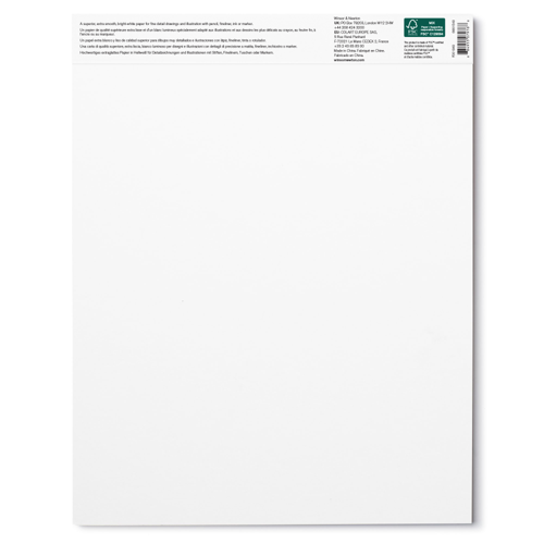 Winsor & Newton Carta Bristol - Blocco 250G - 27,9 x 35,6 cm - 20F