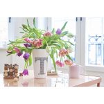 edding 4200 porcelain brush pen set of 6 assorted family