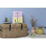 edding 5100 acrylic marker medium set of 5 assorted pastel