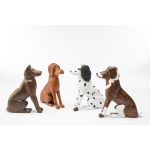 Sculpture Block - Sculpt and Paint Dog