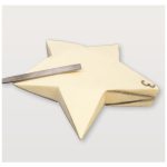 Sculpture Block - Sculpt and Paint Star