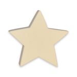 Sculpture Block - Sculpt and Paint Star