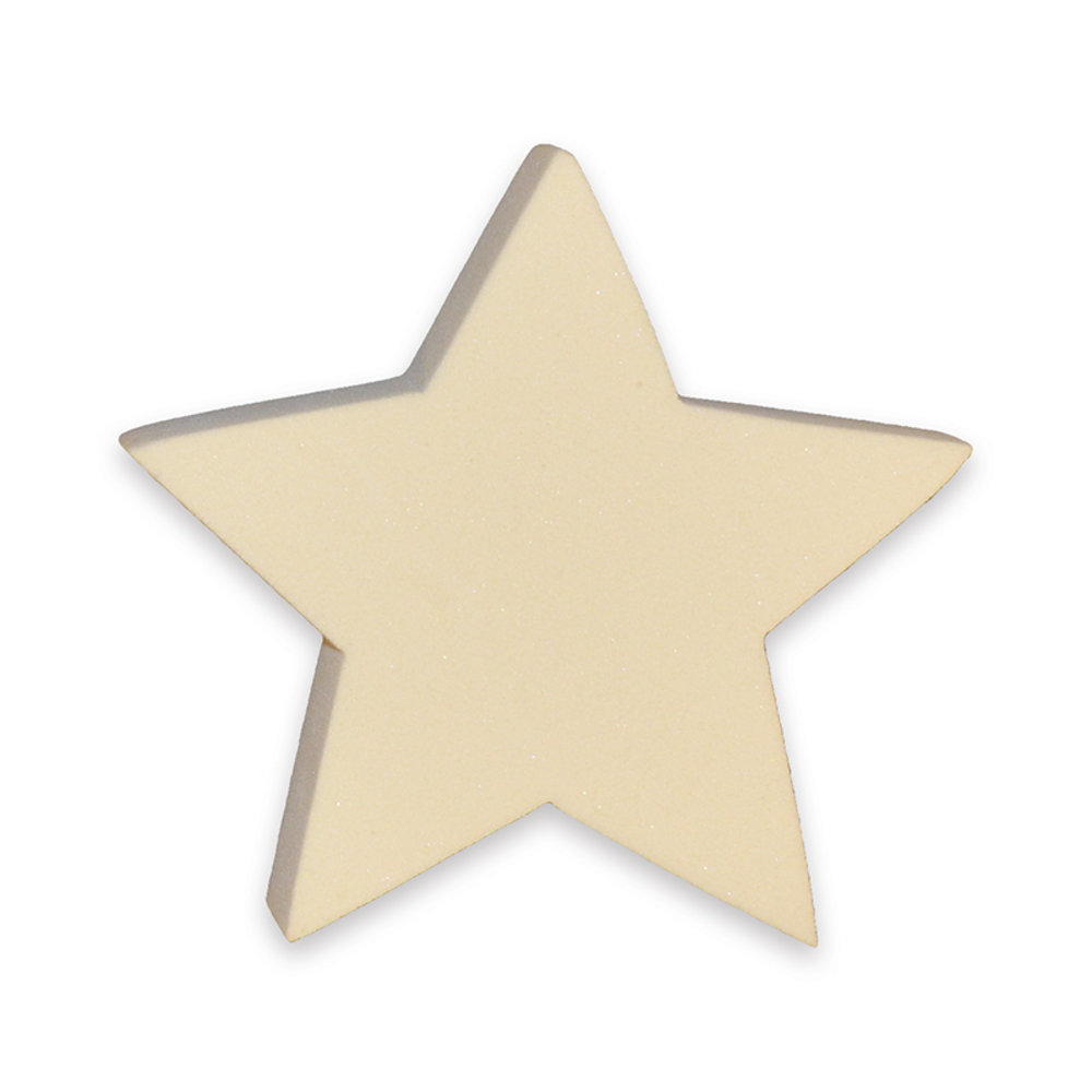 Sculpture Block - Sculpt and Paint Star
