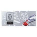 Winsor & Newton Professional Acrylic Tube Set 12x20ml