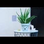 edding 750 gloss paint marker red