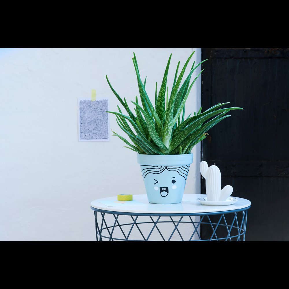 edding 750 gloss paint marker red