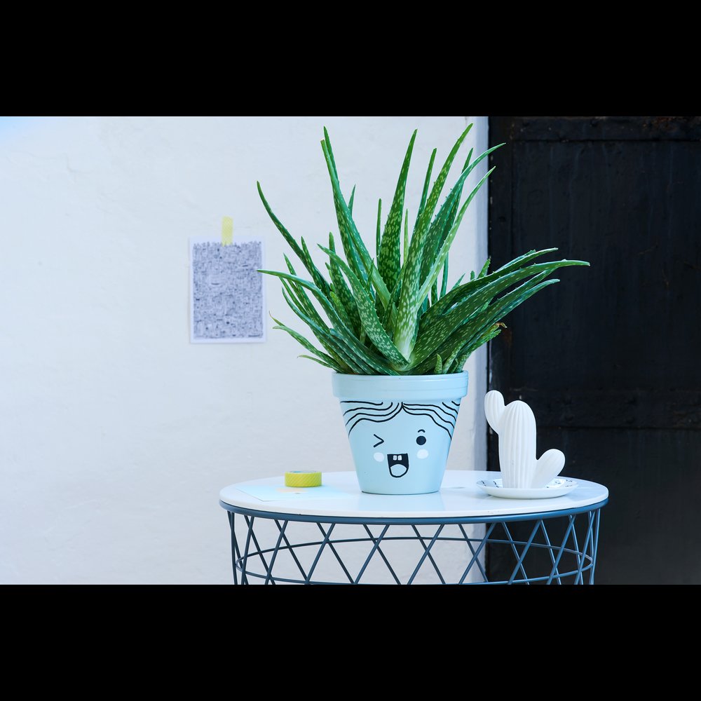 edding 750 gloss paint marker set of 8 assorted