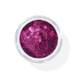 Snazaroo Bio Glitter Kit Fuchsia 5g