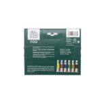 Winsor & Newton Winton Oil Tube Set 6x21ml