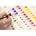 Winsor & Newton Dot Card Volledig Assortiment