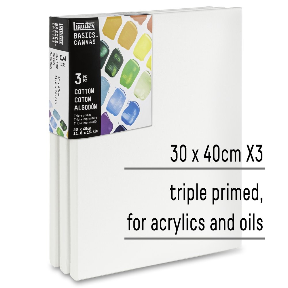 Liquitex Basics Lot 3 Canvas 30x40cm