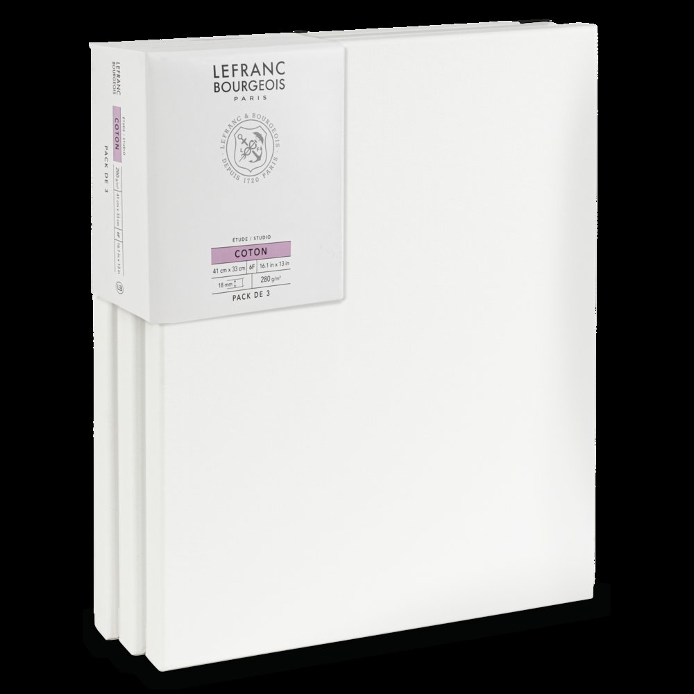 Lefranc Bourgeois Studio Canvas 6F x3