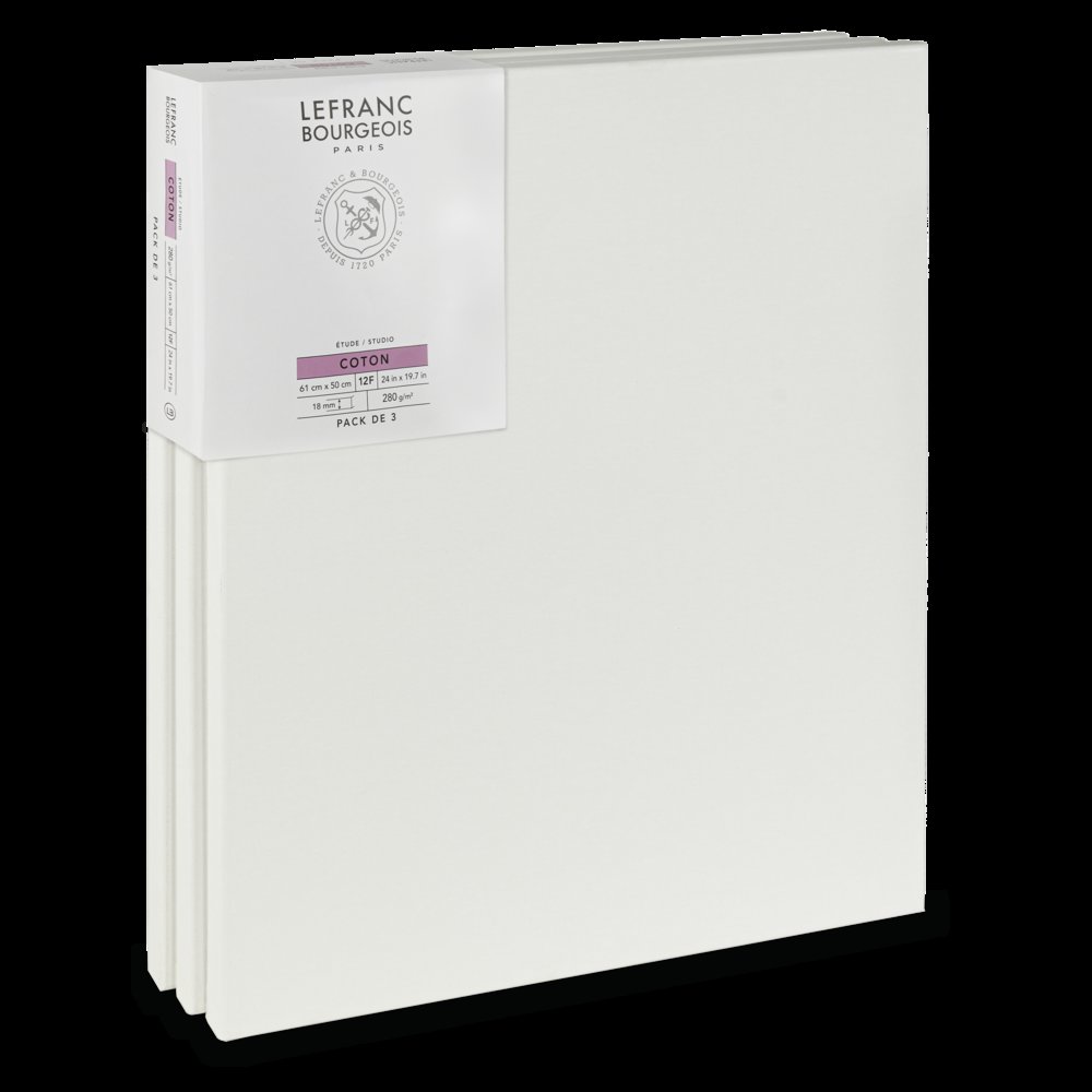Lefranc Bourgeois Studio Canvas 12F x3