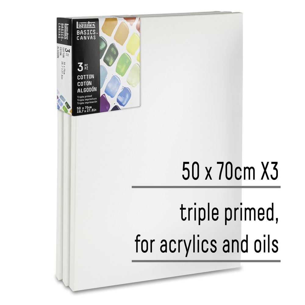 Liquitex Basics Lot 3 Canvas 50x70cm