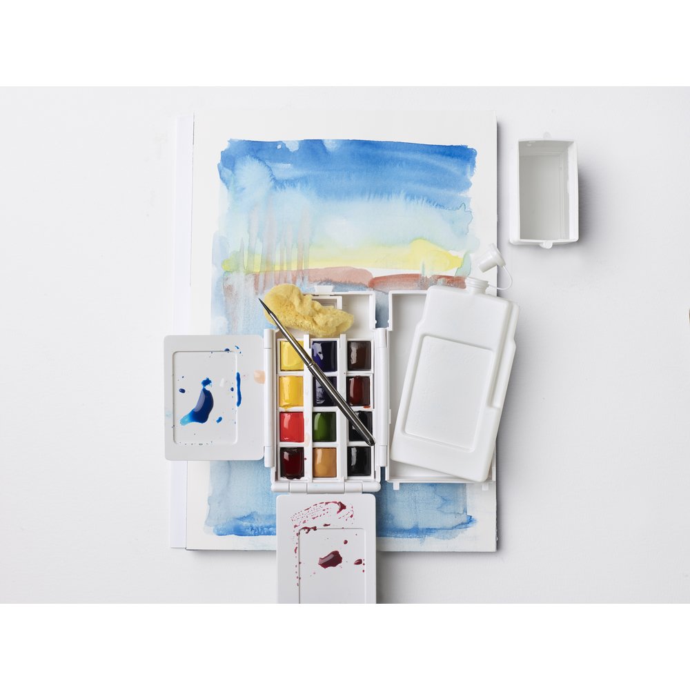 Winsor & Newton Professional Watercolour Field Box 12 Halve Napjes