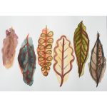 Winsor & Newton Professional Watercolour Rich Earth Set 6x5ml Tubes