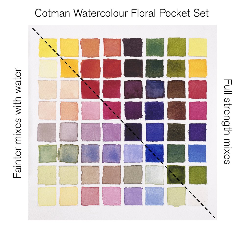 Winsor & Newton Cotman Watercolour 8 Halve Pans Floral Pocket Set