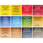 Winsor & Newton Professional Watercolour 12 Tube Reis set