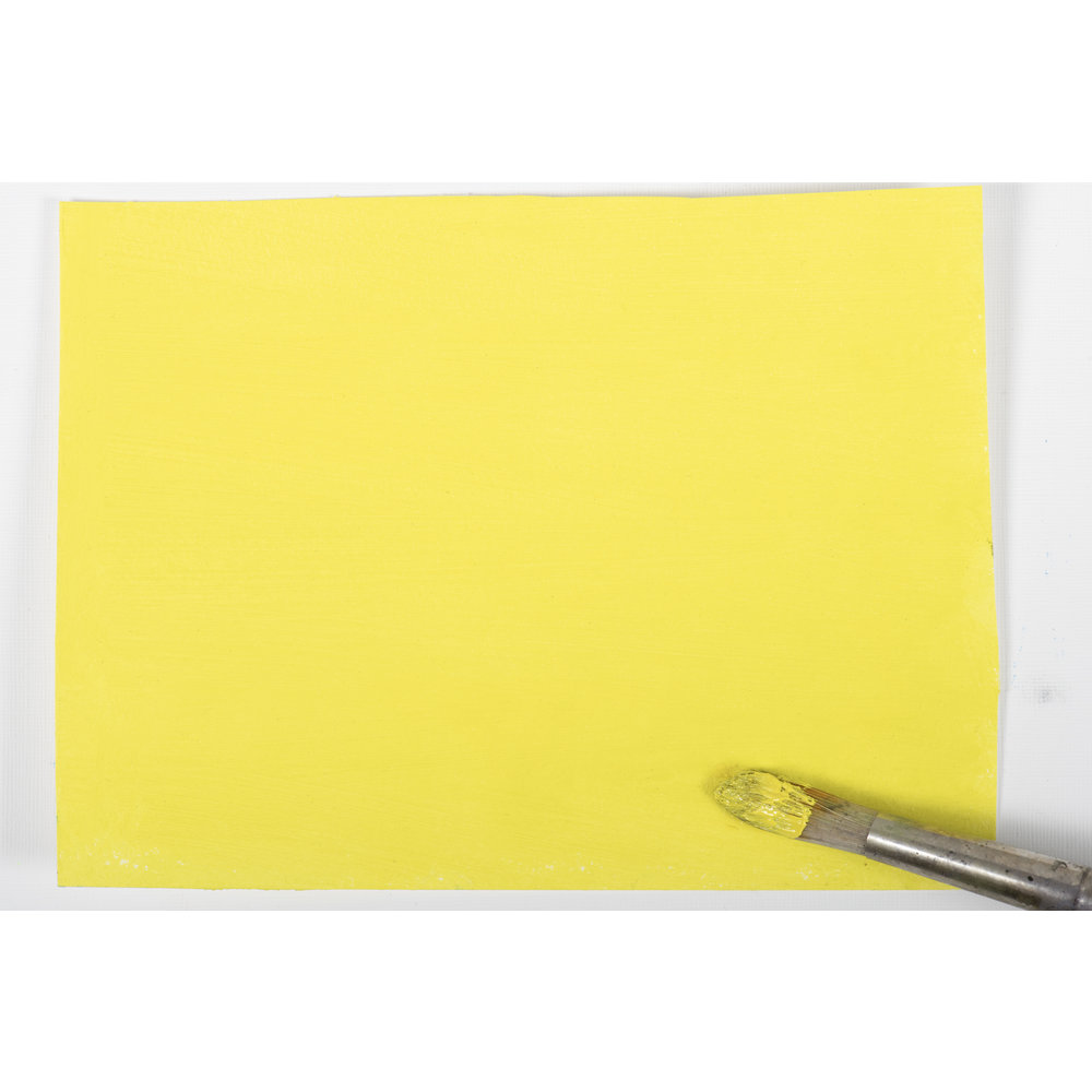 Winsor & Newton Winton Oil Colour Botanic Set x5