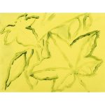 Winsor & Newton Winton Oil Colour Botanic Set x5