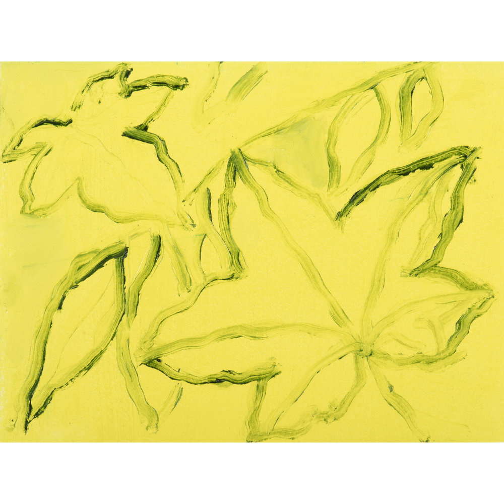 Winsor & Newton Winton Oil Colour Botanic Set x5