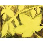 Winsor & Newton Winton Oil Colour Botanic Set x5