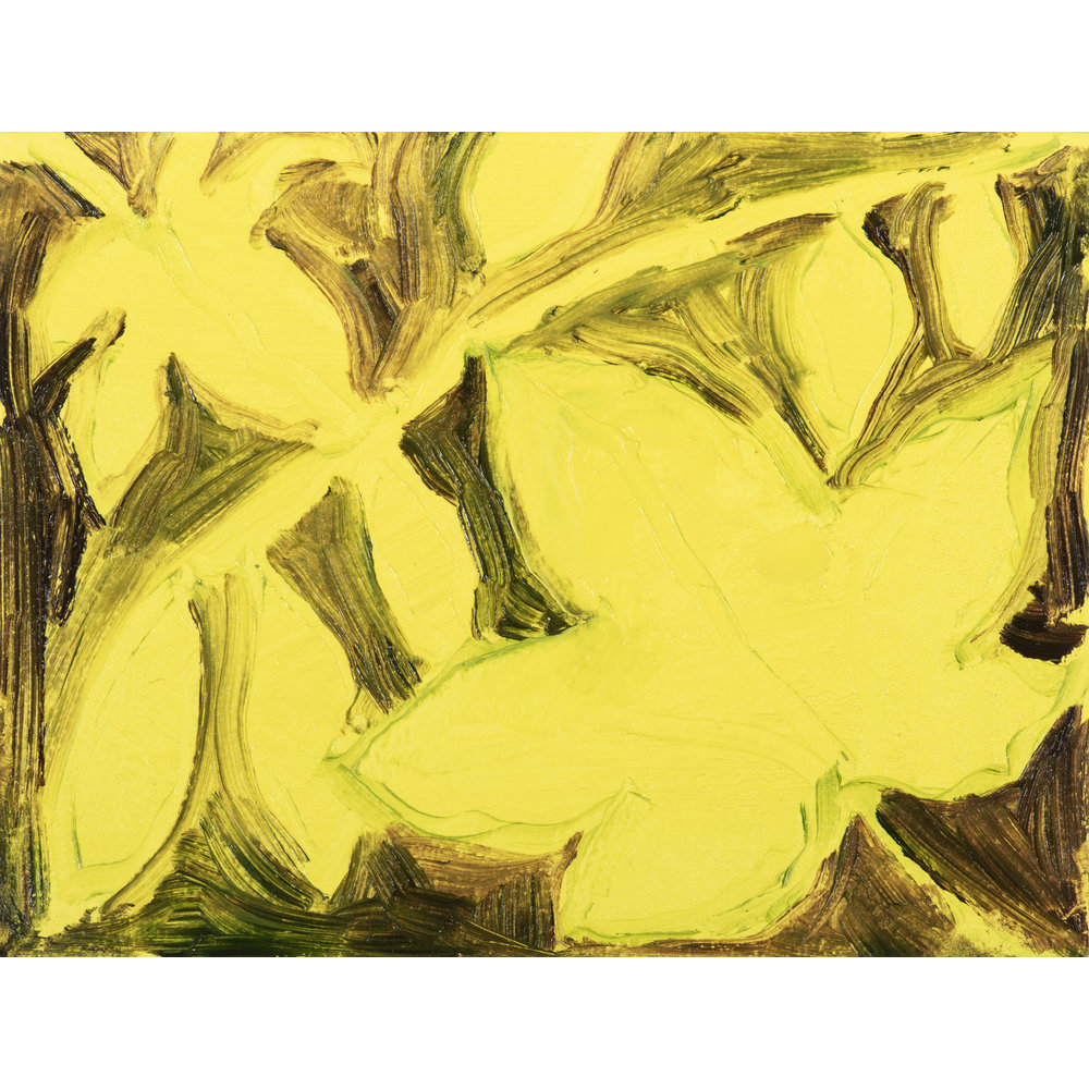 Winsor & Newton Winton Oil Colour Botanic Set x5