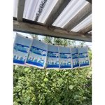 Winsor & Newton Designers Gouache Seascape Set 5x14ml Tubes