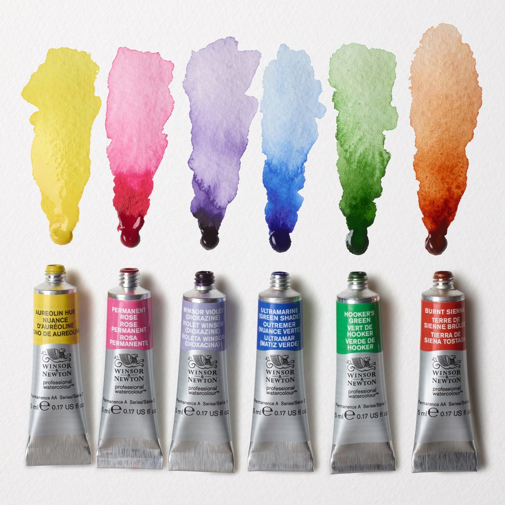 Winsor & Newton Professional Watercolour 6x5ml Floral Set