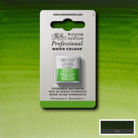 Professional Watercolour