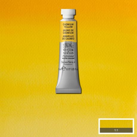 Professional Watercolour