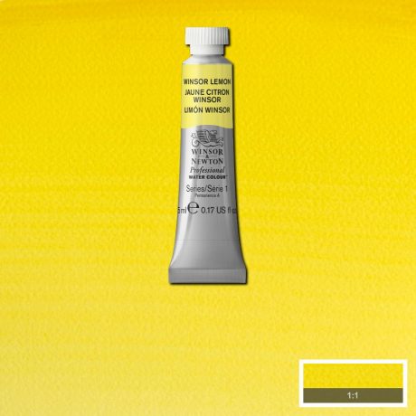 Professional Watercolour