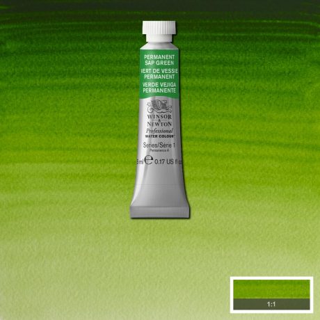 Professional Watercolour