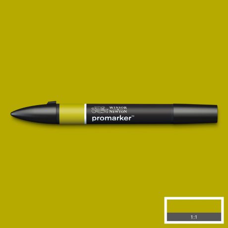 Promarker