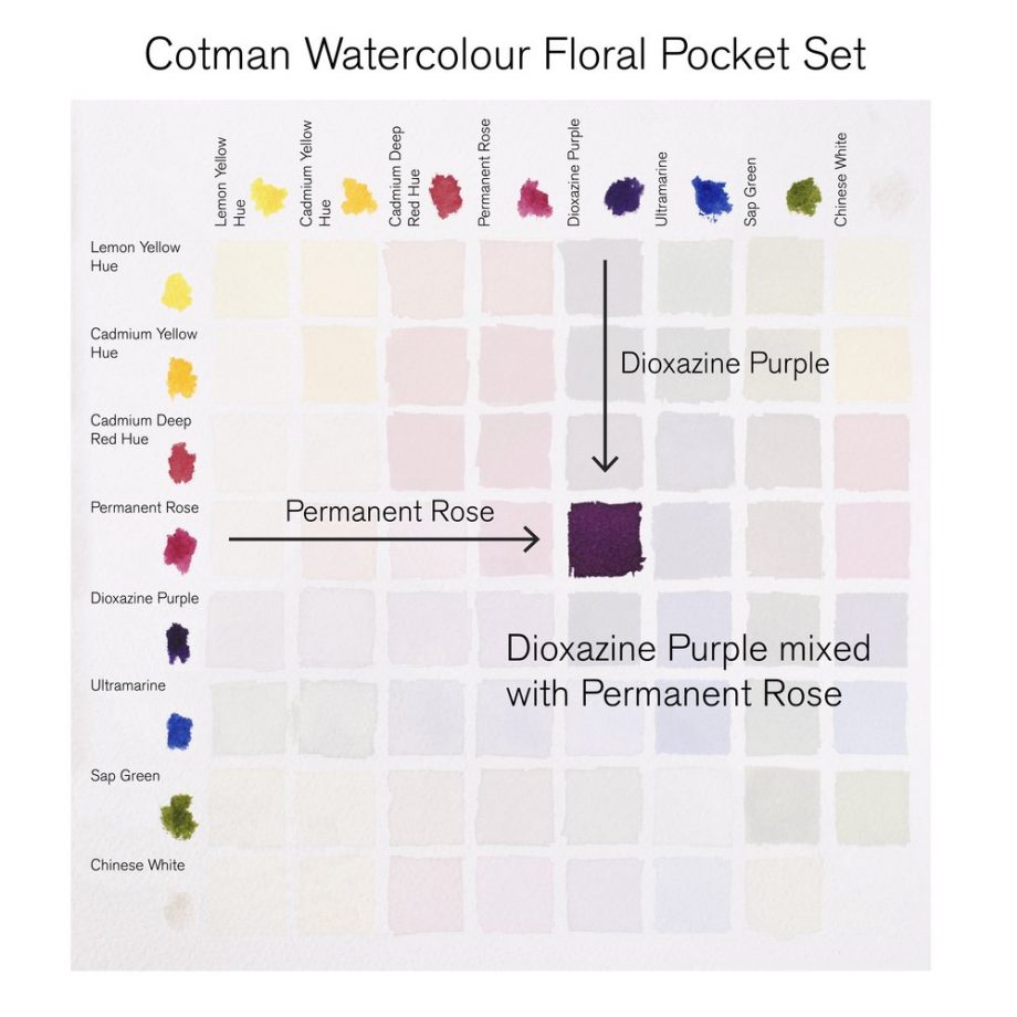 Winsor & Newton Cotman Watercolour Floral Pocket Set